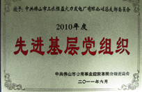 恒益电厂党总支获2010年度先进基层党组织